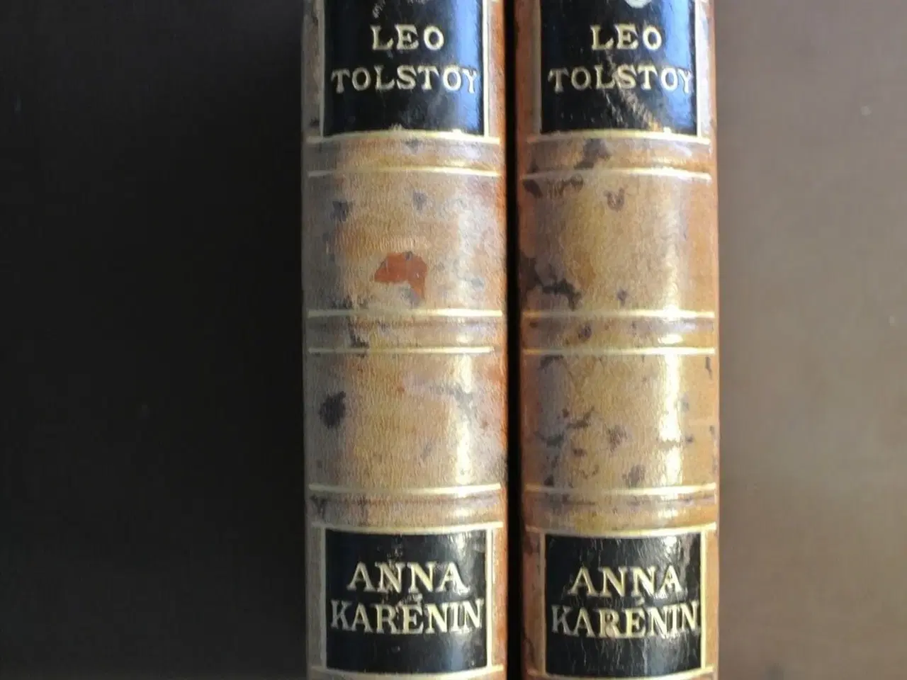 Billede 1 - anna karenin, af leo tolstoy, genre: roman