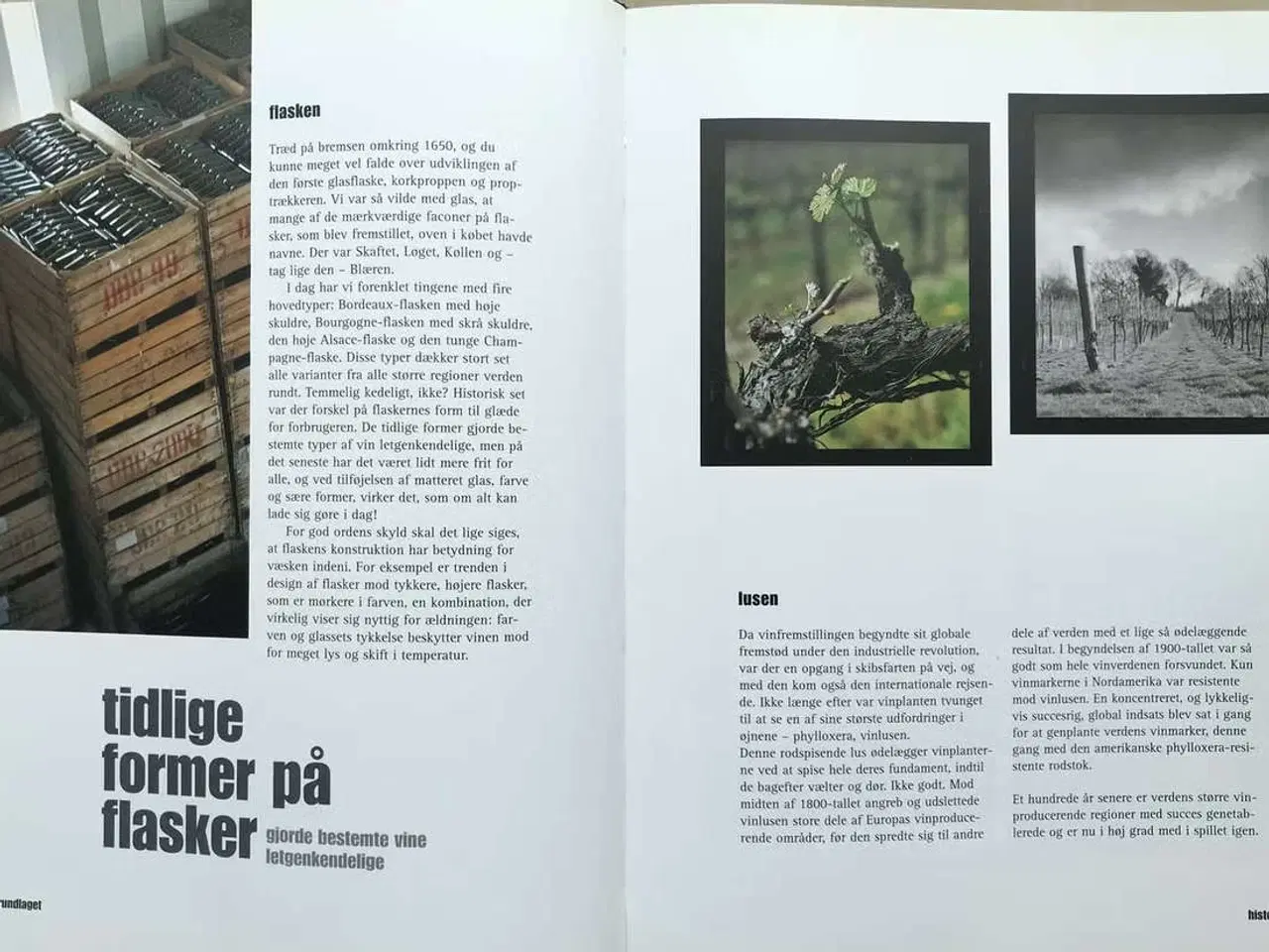 Billede 4 - Matt Skinner: Det er bar vin