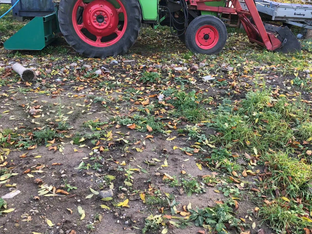 Billede 1 - traktor, Deutz 5006