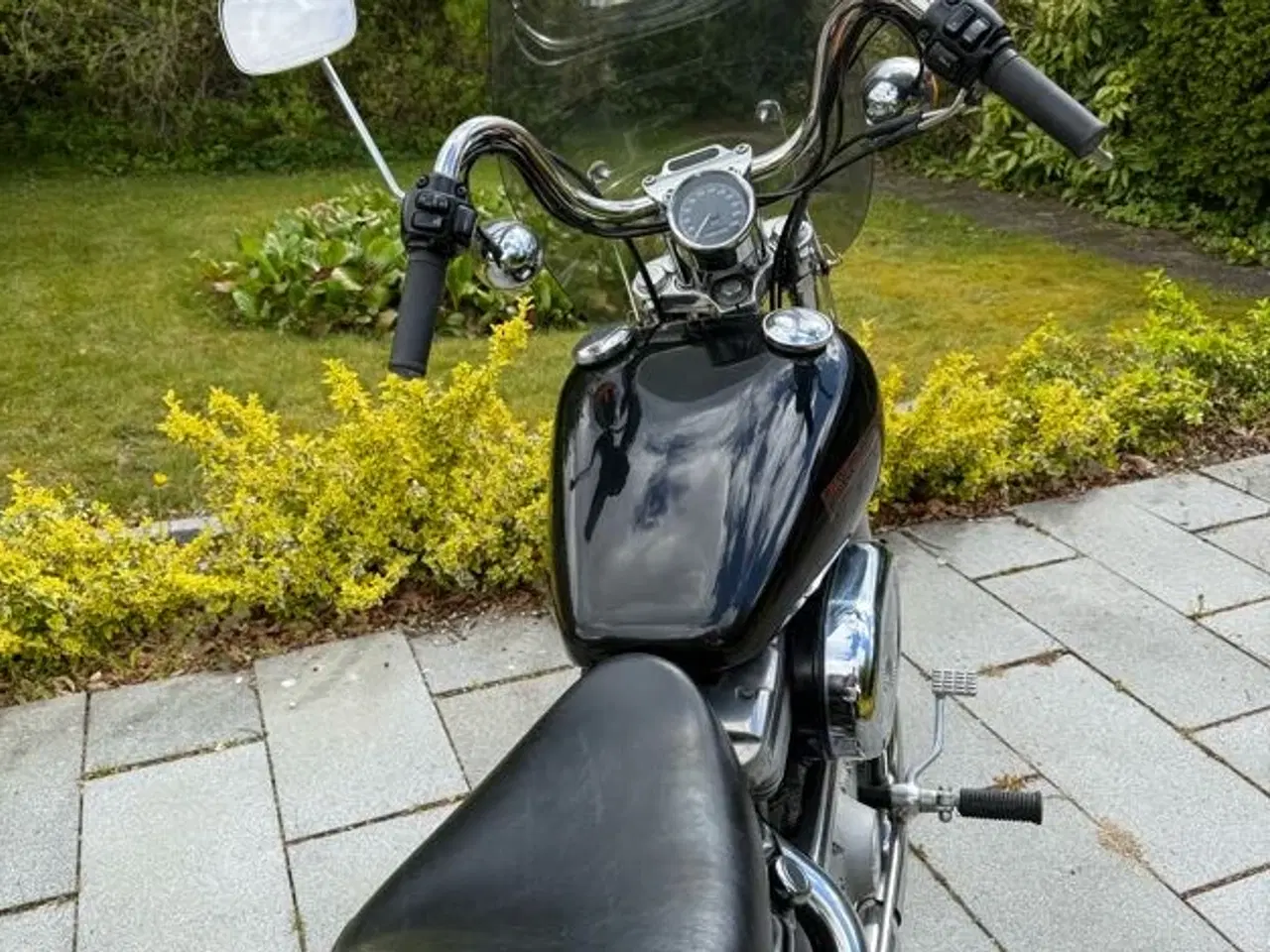Billede 2 - Velholdt Harley-Davidson XL883 53 Custom