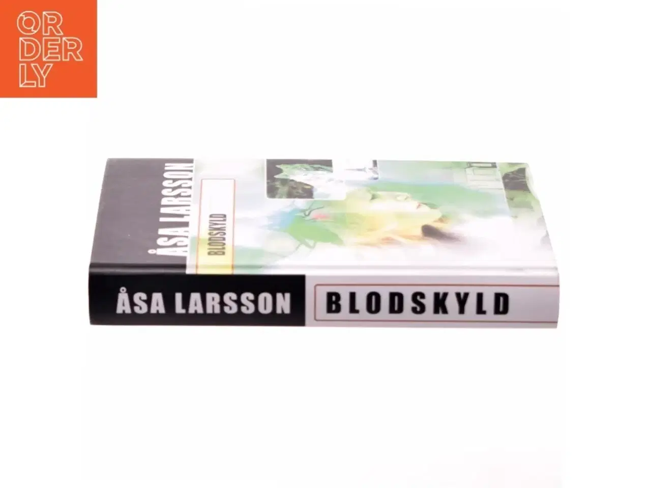 Billede 2 - Blodskyld af Åsa Larsson