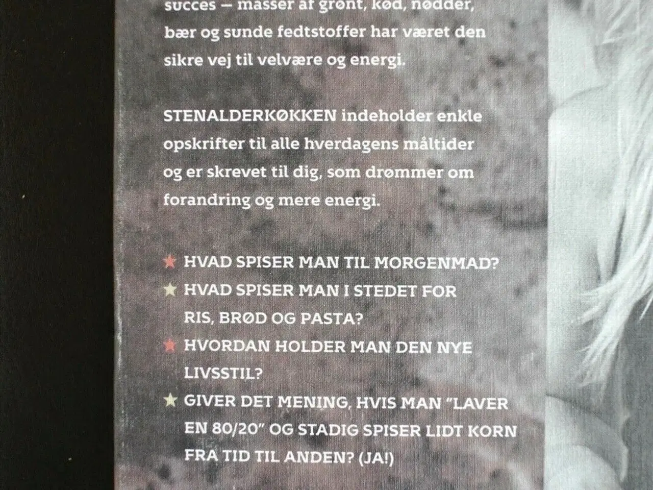 Billede 2 - stenalderkøkken, af katrine tuborgh, emne: mad og 