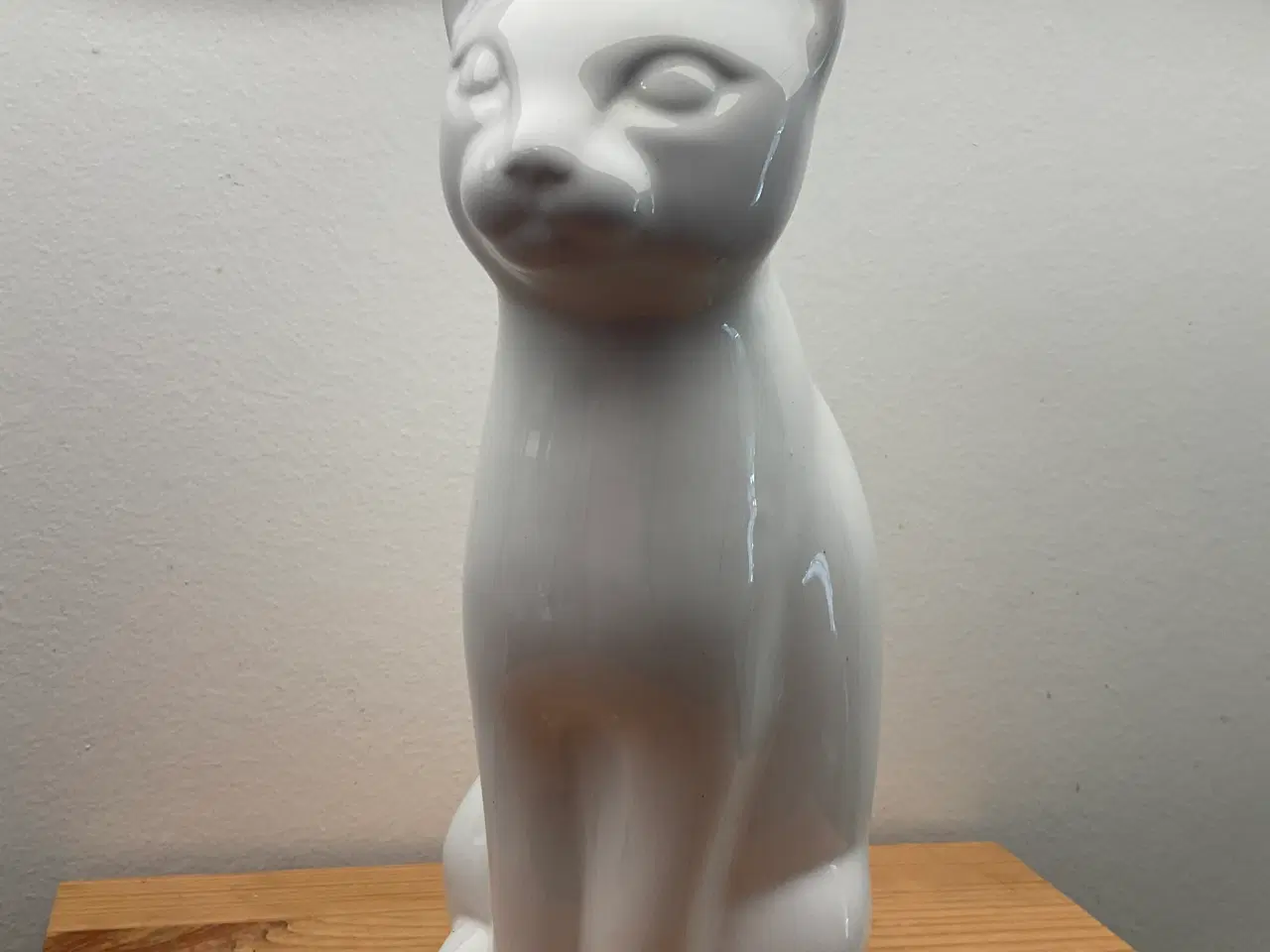 Billede 2 - Kat