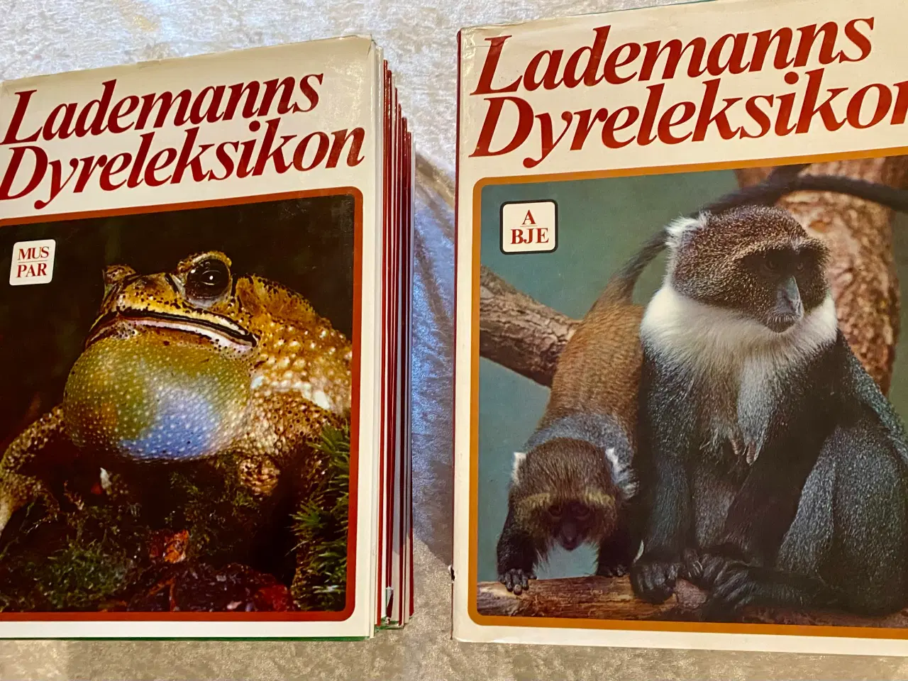 Billede 2 - Lademanns dyreleksikon