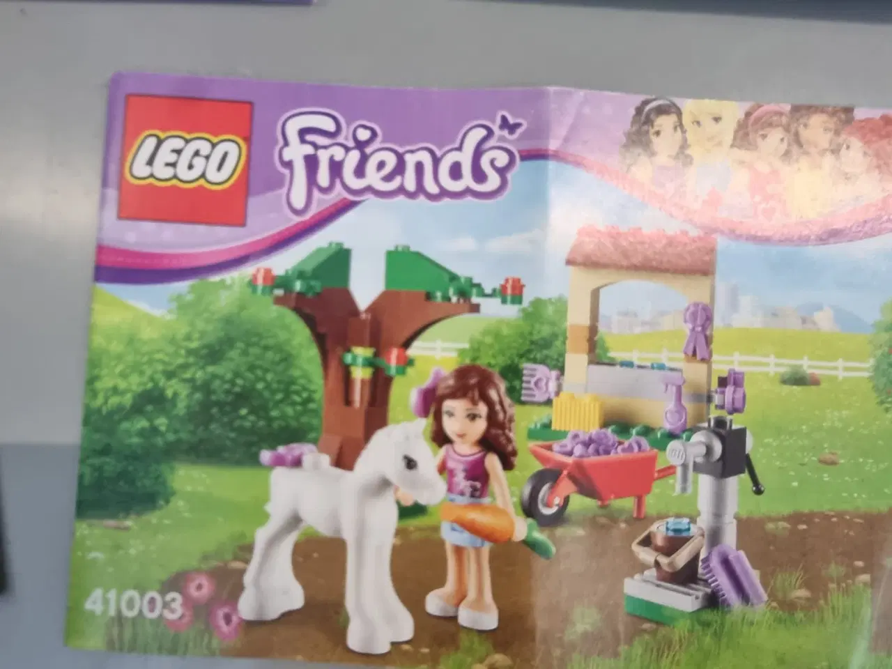 Billede 18 - Lego Friends 8 store, 10 små(inkl. Brugsanvisning)