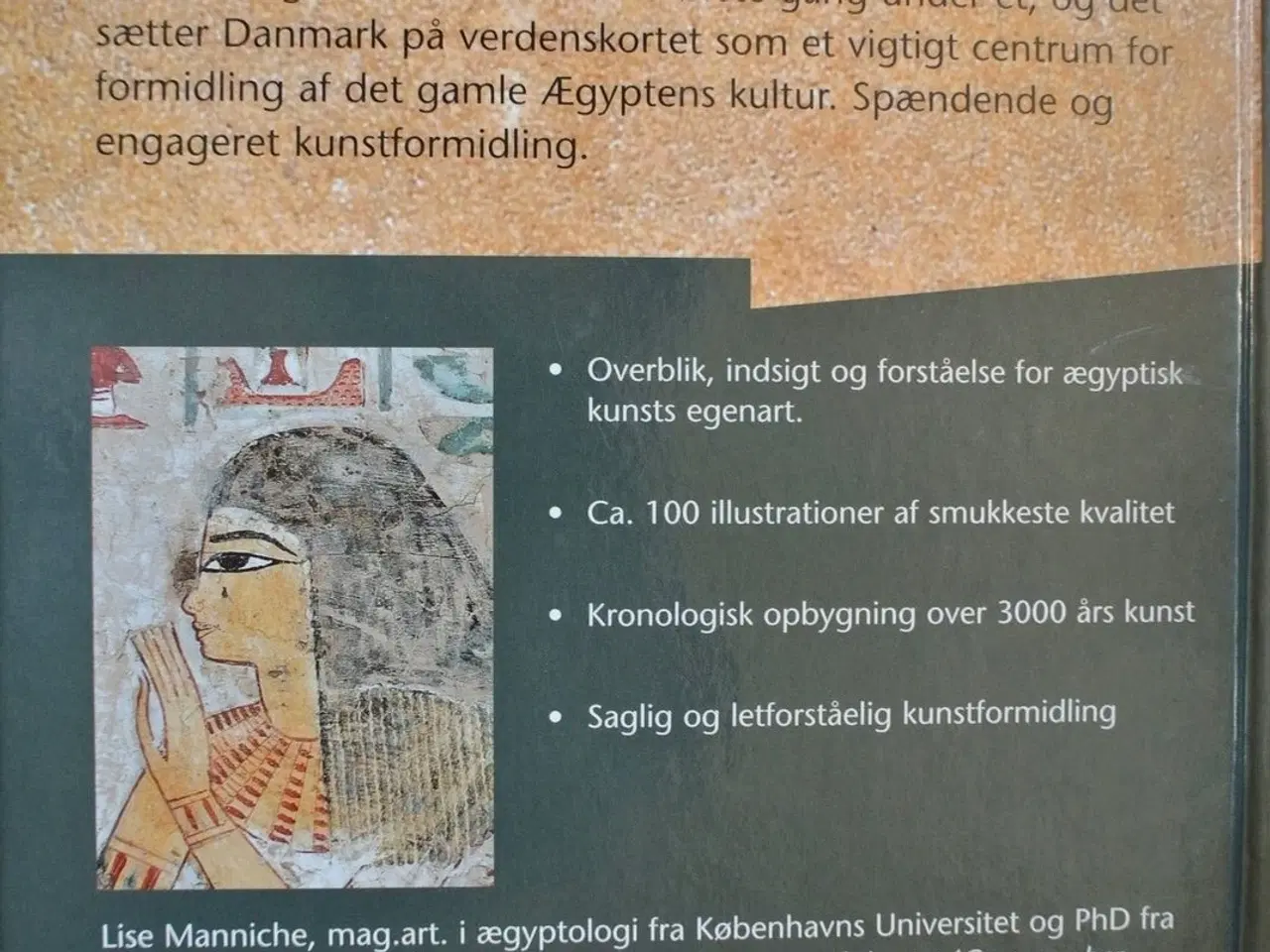 Billede 3 - ægyptisk kunst i danmark, af lise manniche, emne: 