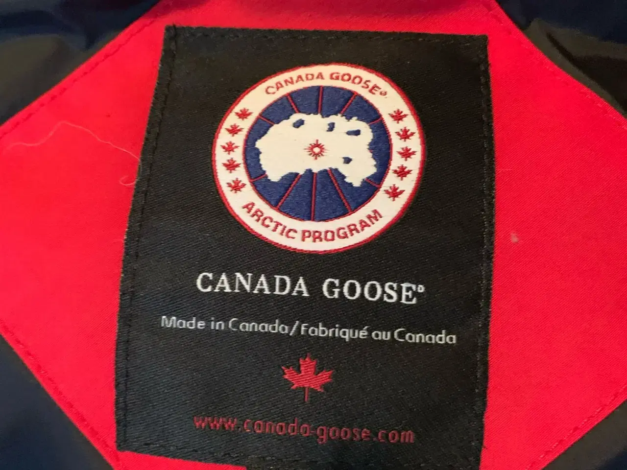 Billede 2 - Canada Goose