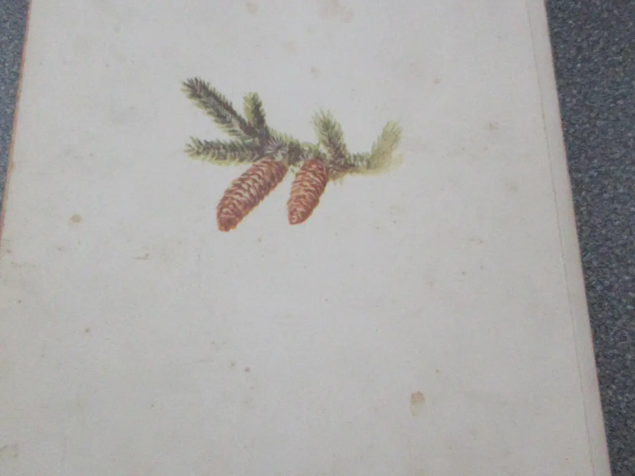 Billede 10 - VED JULELAMPES SKÆR 1961 OG 1969