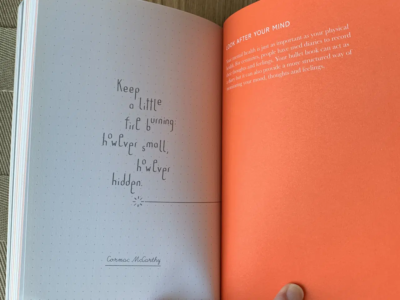 Billede 9 - The 365 Bullet Guide