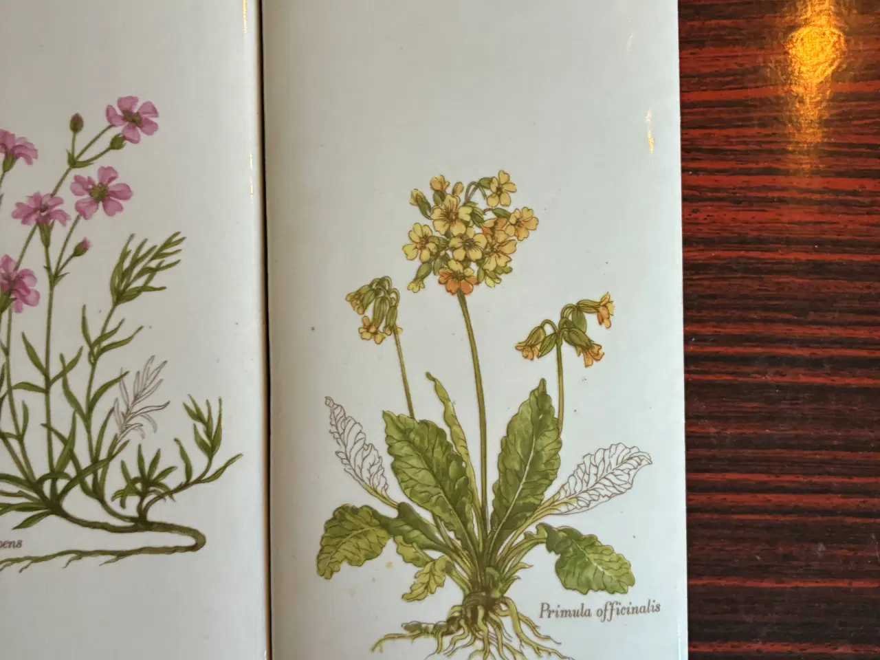 Billede 5 - Retro luftfugtere