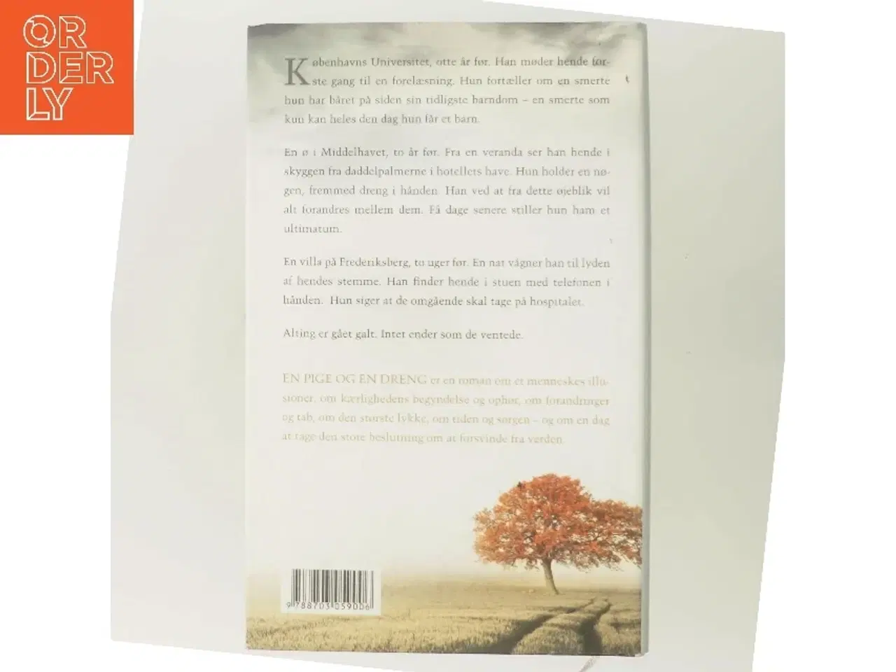 Billede 3 - En pige og en dreng af Morten Brask (Bog)