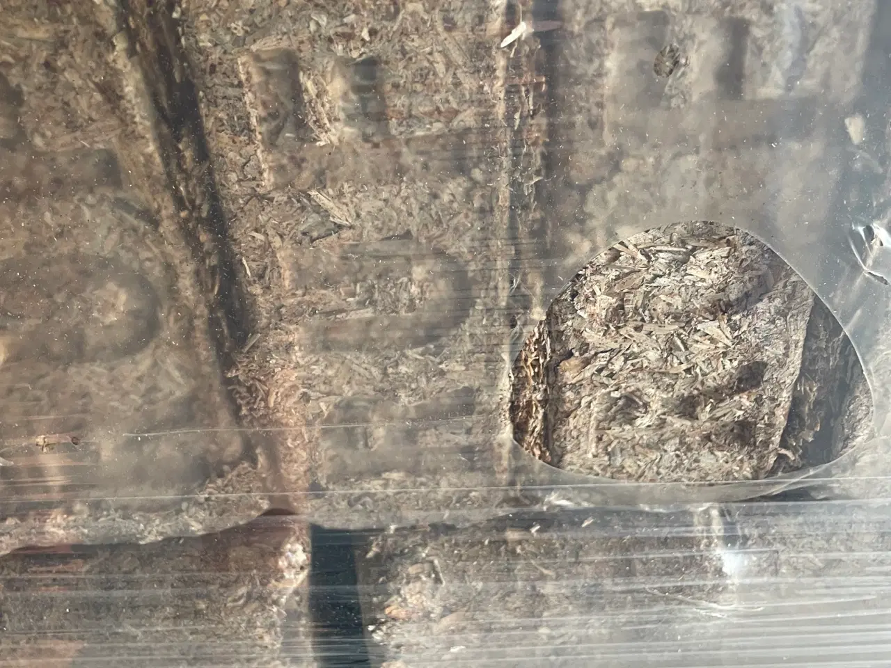 Billede 2 - RUF Træbriketter