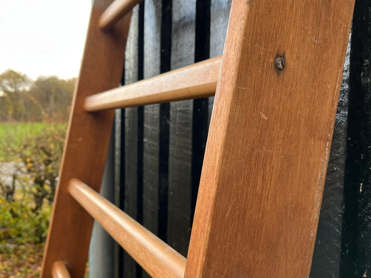 Billede 2 - Trænings ribbe i massiv træ