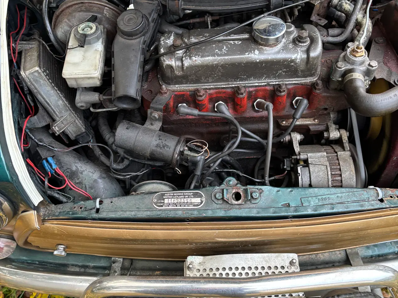 Billede 12 - Morris Mascot