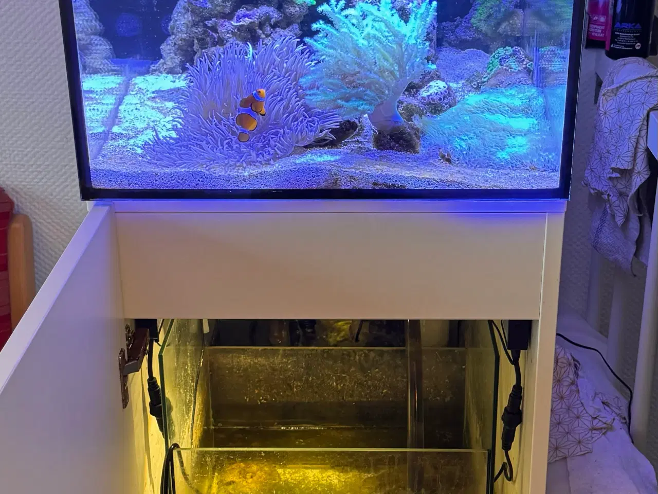 Billede 2 - Complete Aqua Medic Cubicus CF Qube Reef Setup