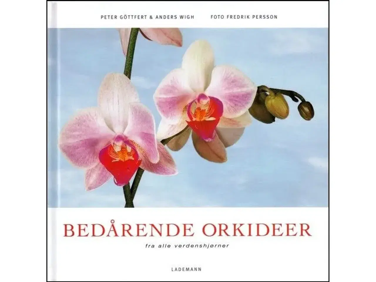 Billede 6 - Orkidéer - 7 Bøger 30-75 kr.