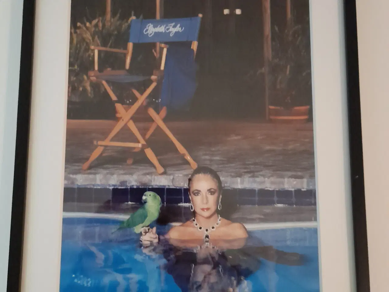 Billede 1 - Helmut Newton 32 x 42 cm