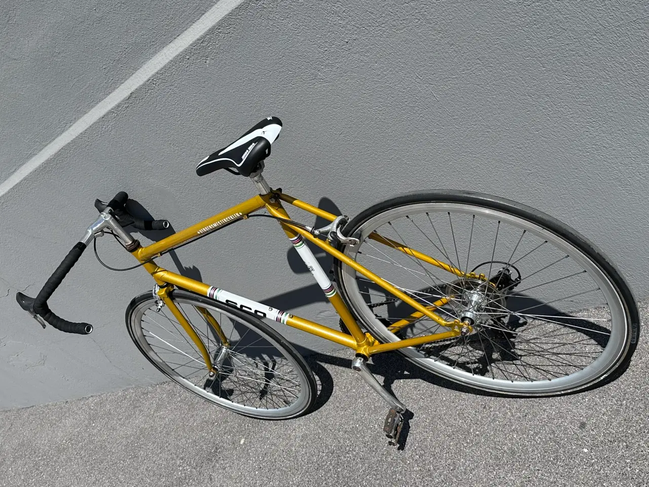Billede 7 - Guld SCO verdensmestercykel herreracer