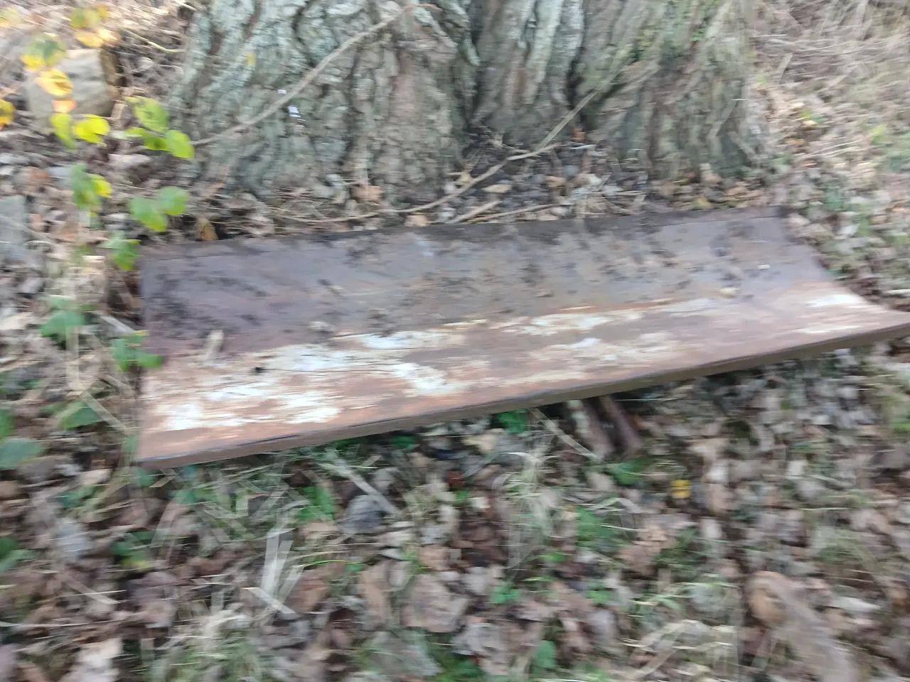 Billede 1 - Kræftigt Skrabe