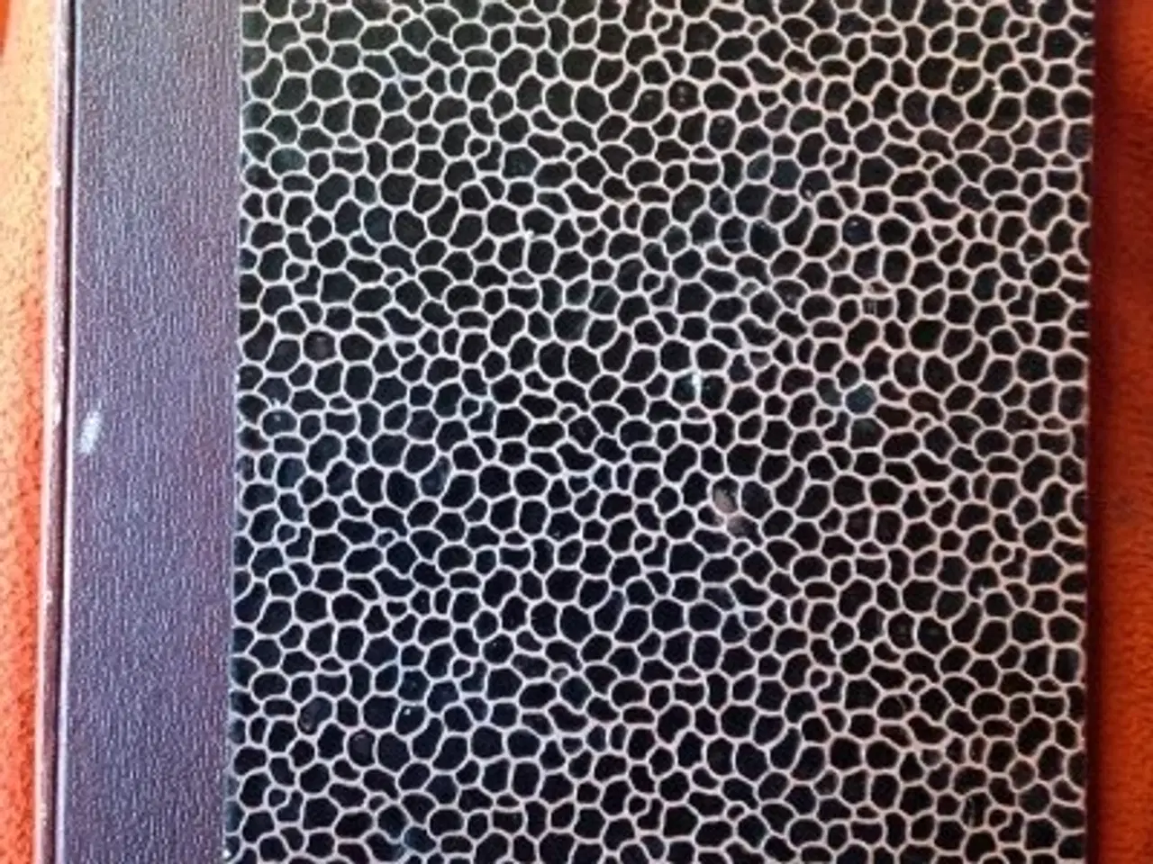 Billede 1 - H. C. Bering Liisberg: Aarhundredets store Forspil