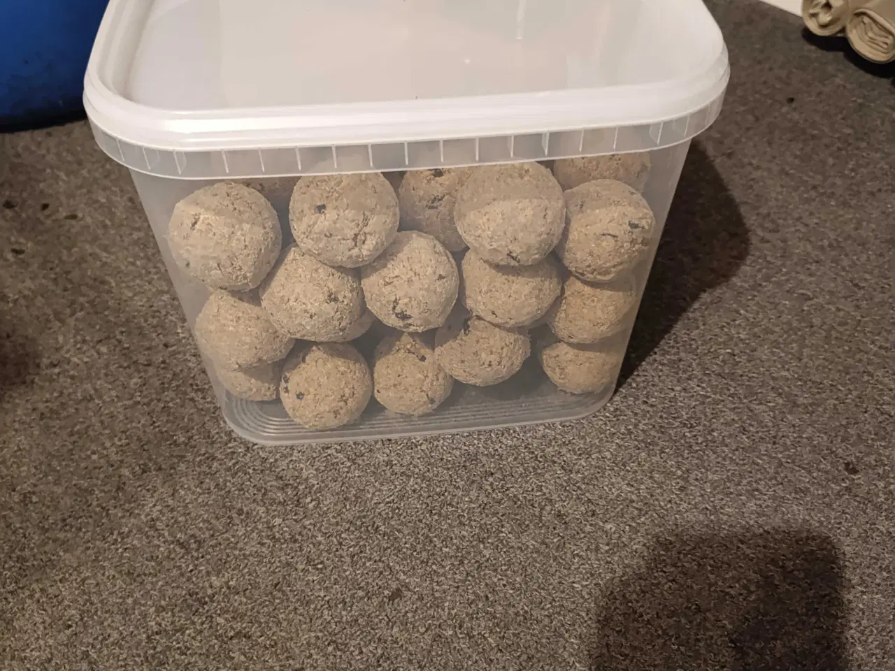 Billede 1 - Fuglefoder og solsikker