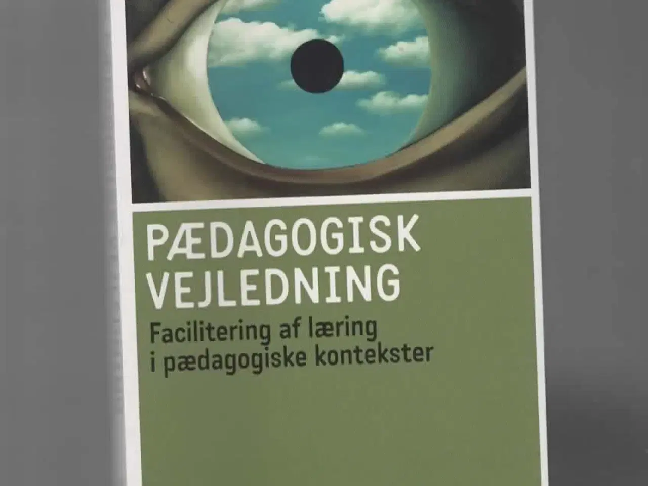 Billede 1 - vejledningsarbejde