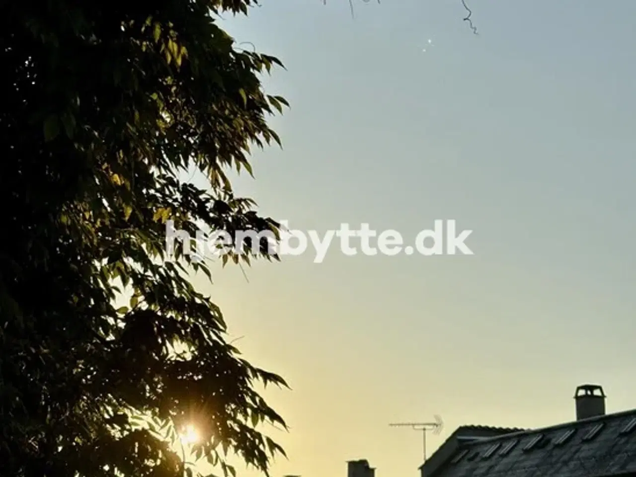 Billede 1 - Hjembytte - Guldbergsgade