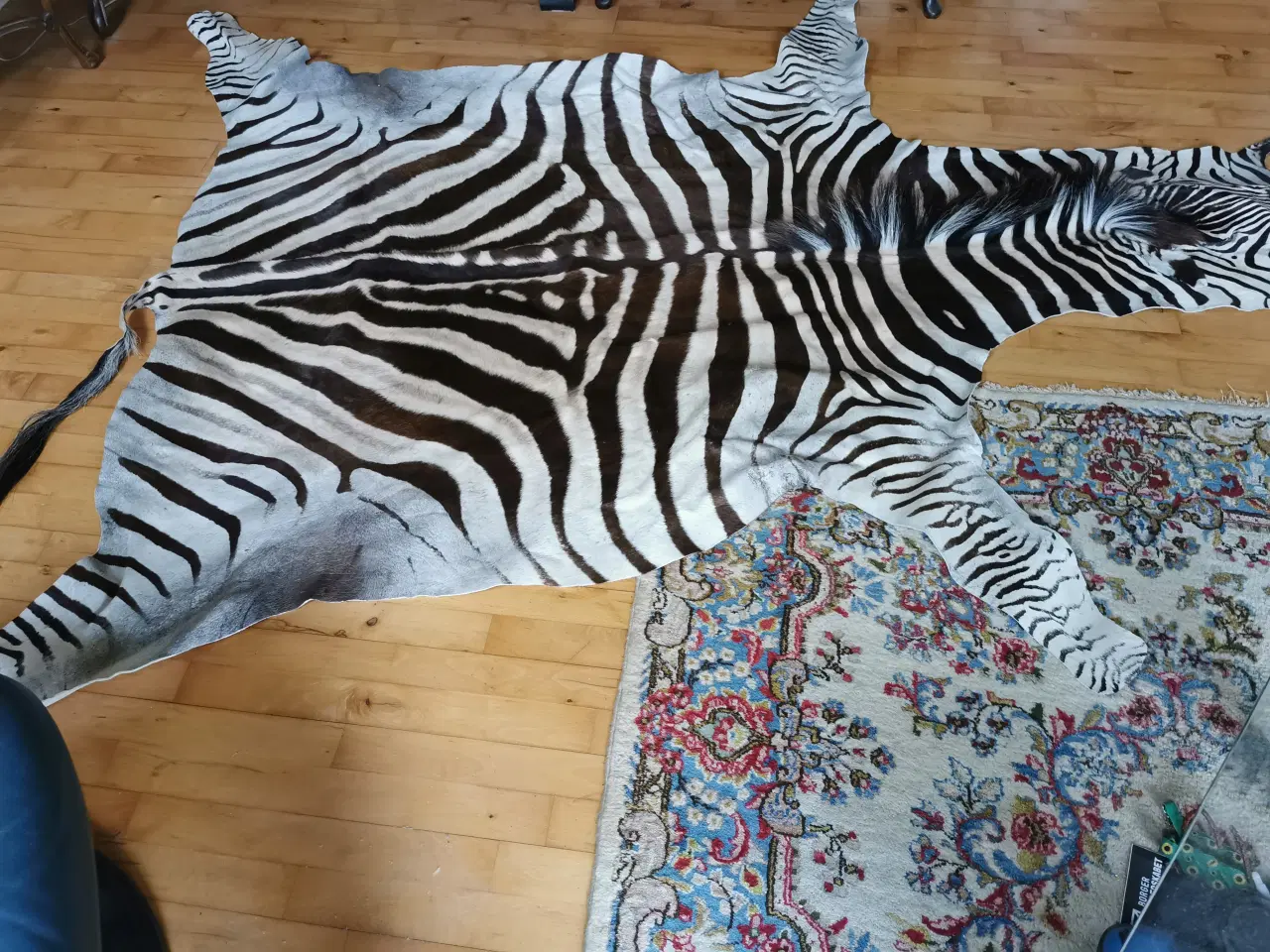 Billede 3 - zebraskind