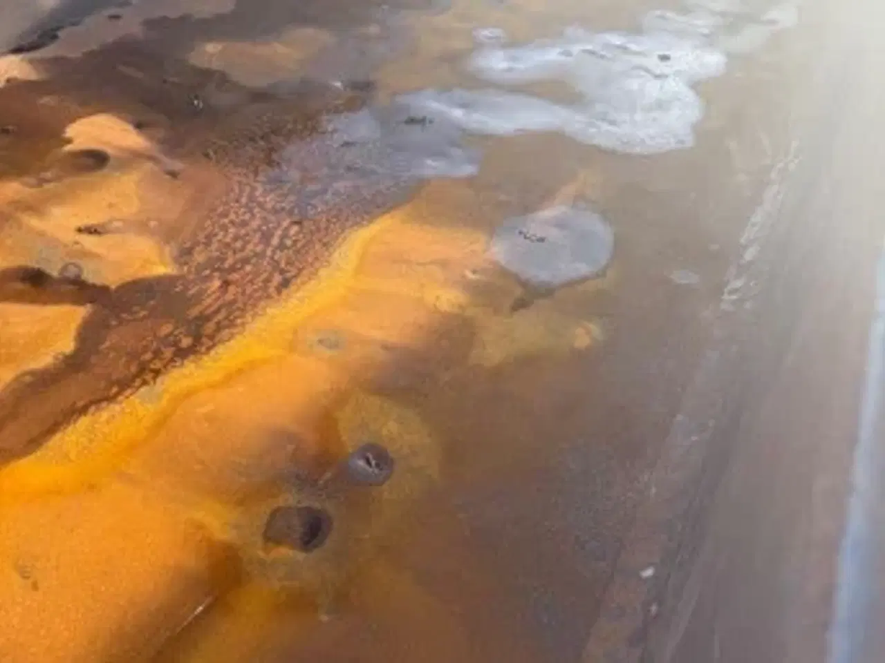 Billede 6 - Container med automat bagsmæk 