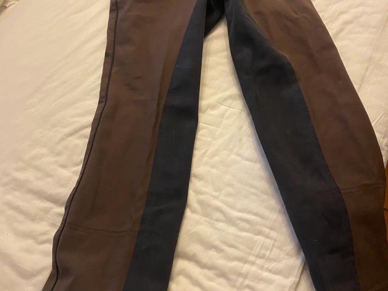 Billede 1 - Brune jodphur ridebukser