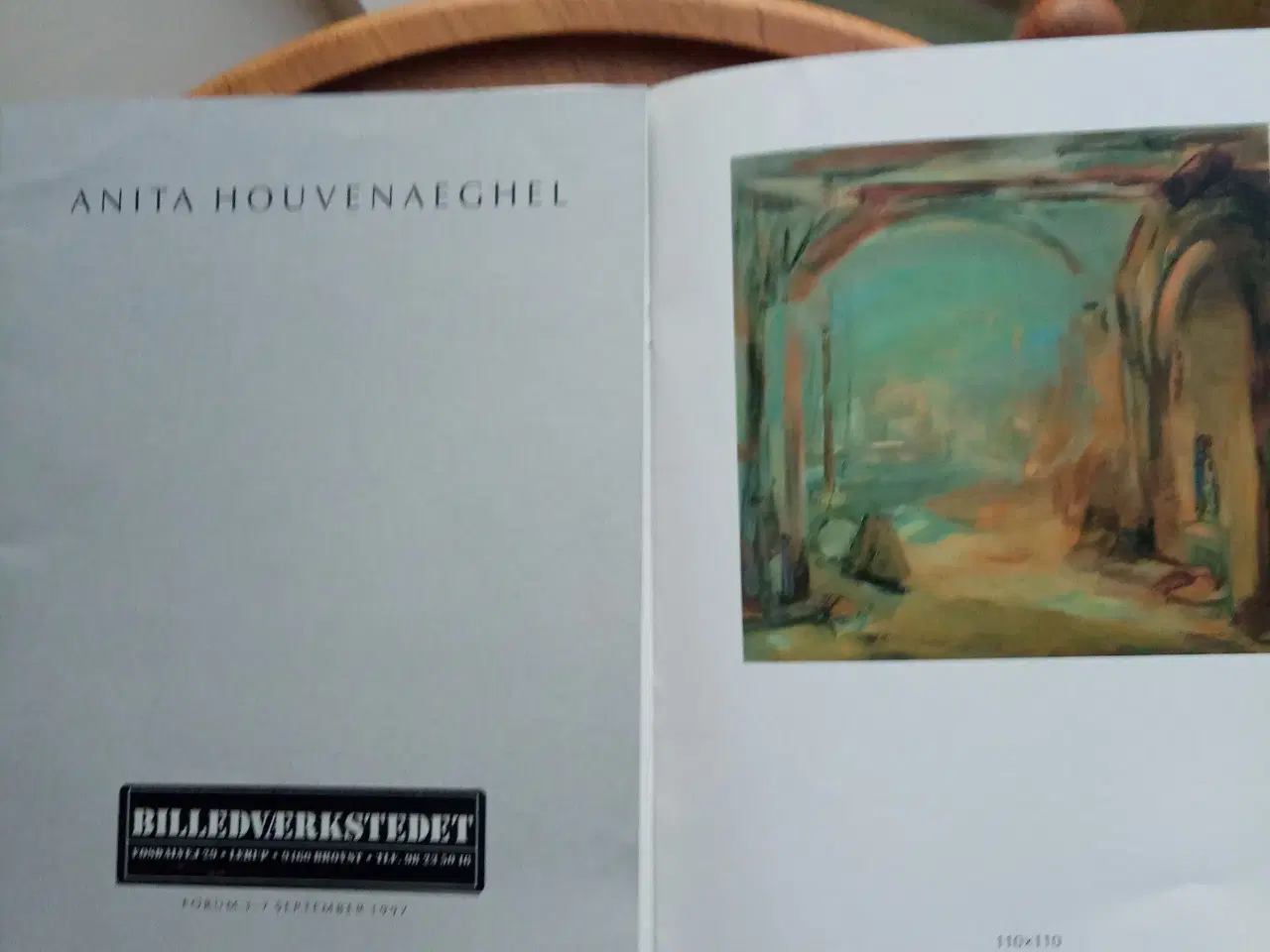 Billede 1 - Kunstbøger mv. om Anita Houvenaeghel