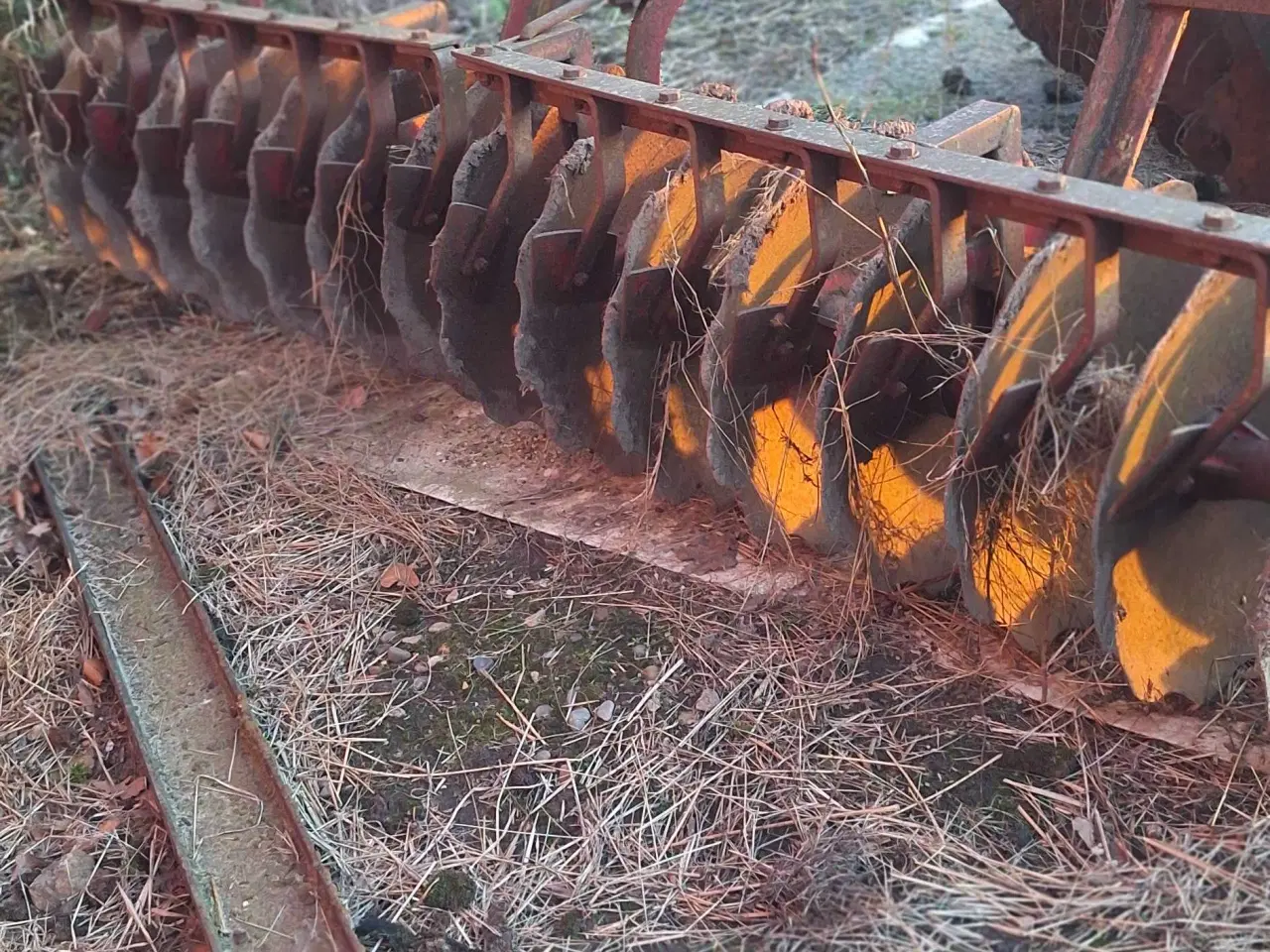 Billede 2 - omme tallerken harve