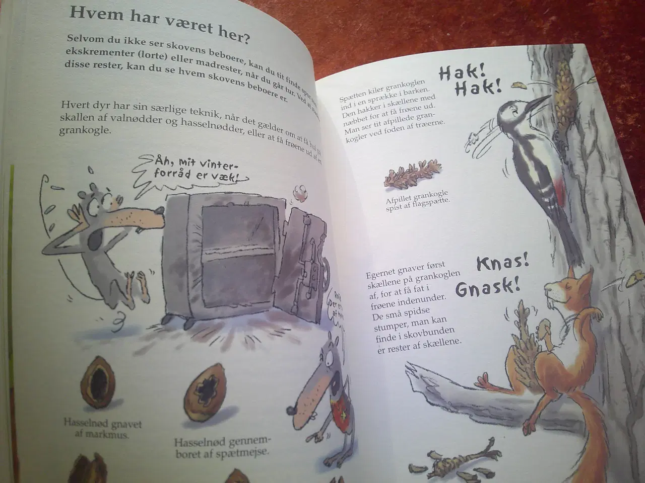 Billede 3 - Skoven, Jean-Benoît Durand, Georges Feterman,