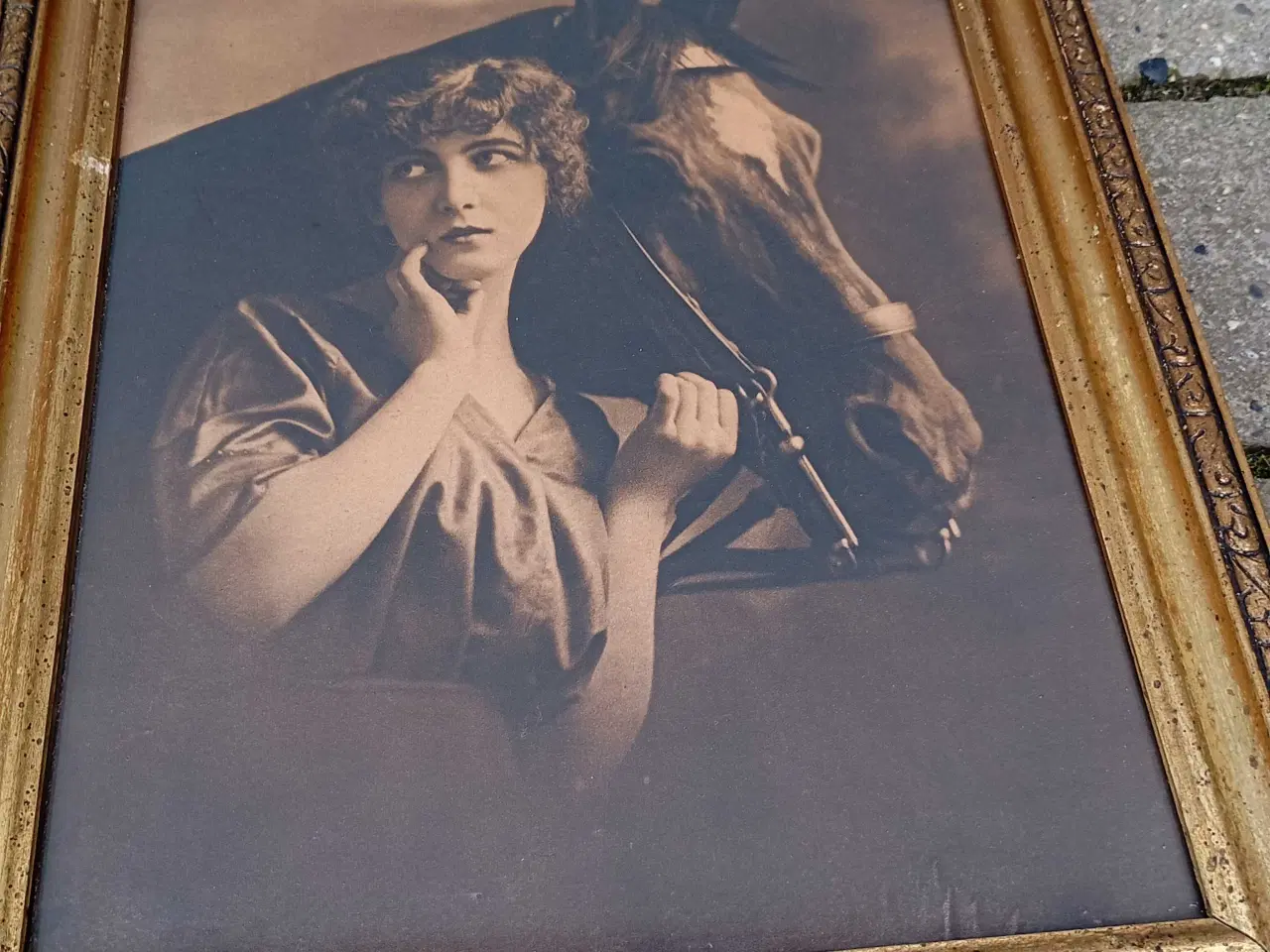 Billede 8 - Antikke gamle billeder af kvinder og heste