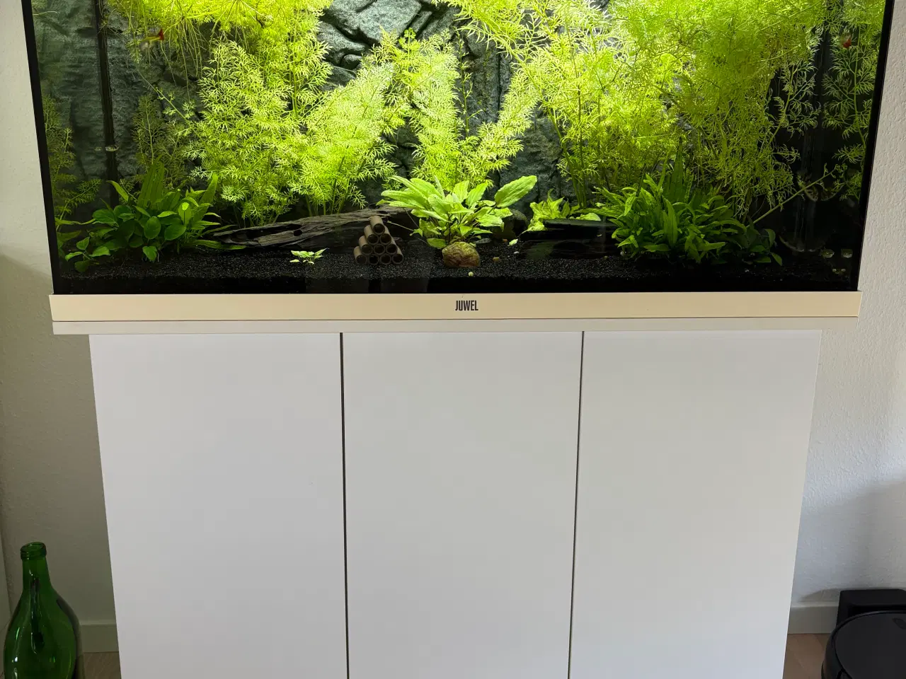 Billede 1 - Juwel Rio 180 L