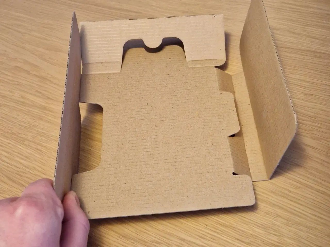 Billede 2 - 📦 Originalt papindlæg Gameboy Player (kun indlæg)