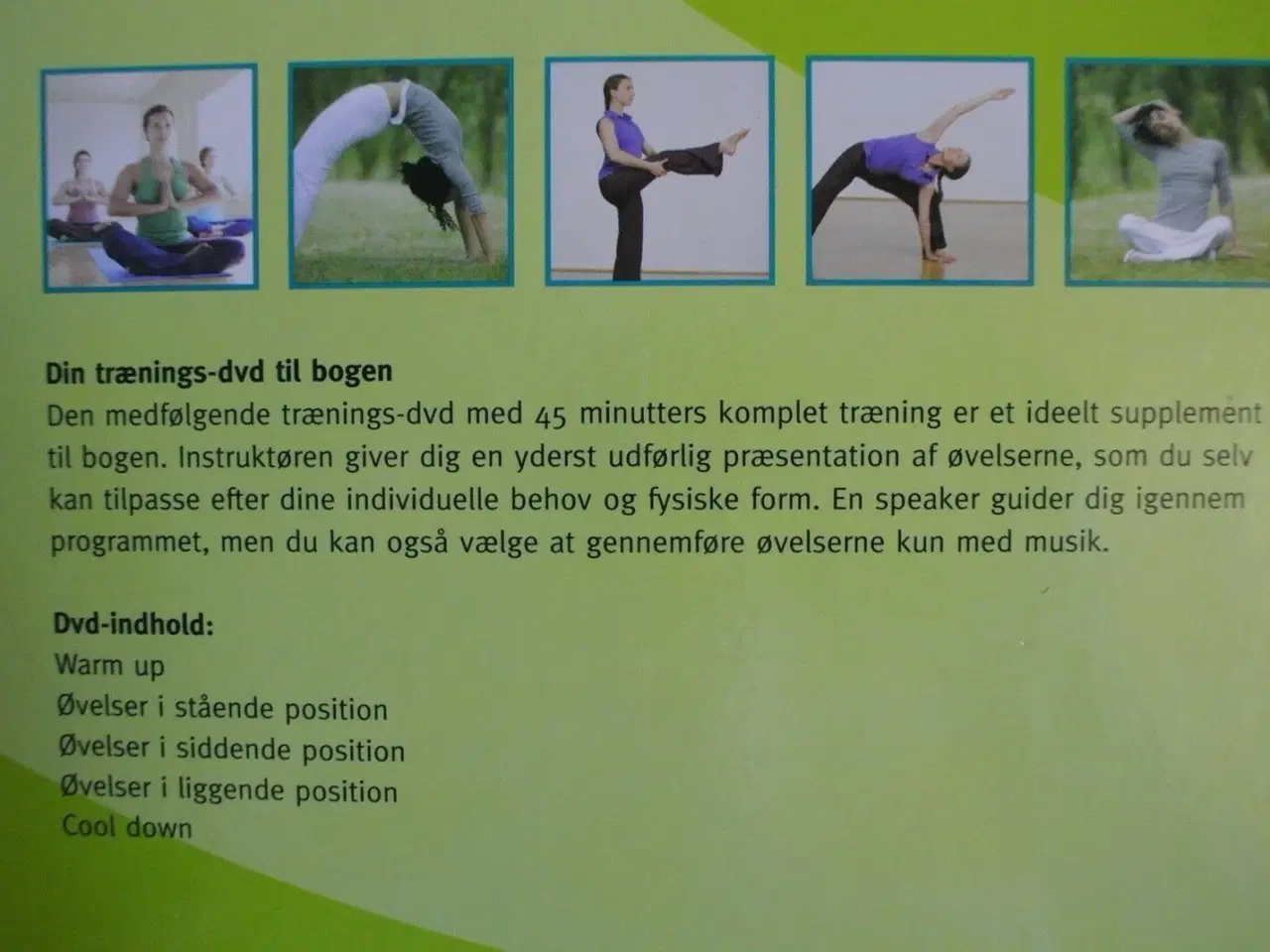 Billede 3 - power yoga med trænings-dvd, af christa g. traczin