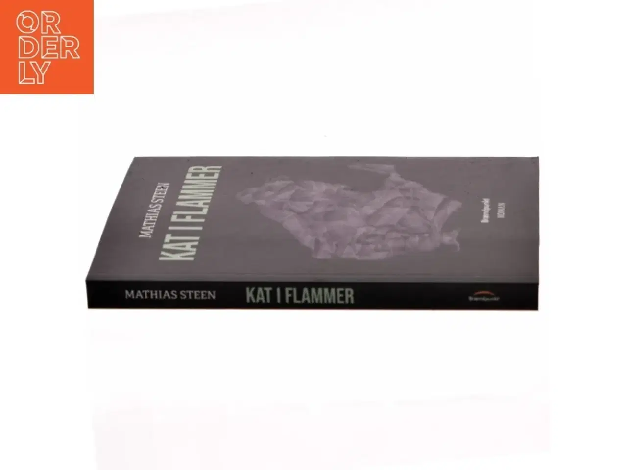 Billede 2 - Kat i flammer : roman af Mathias Steen Hansen (f. 1992) (Bog)