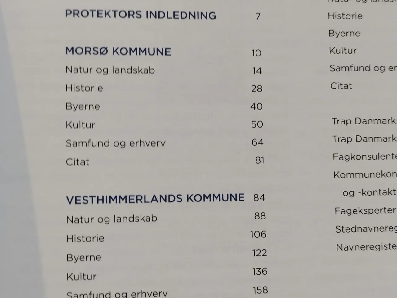 Billede 5 - Trap Danmark 