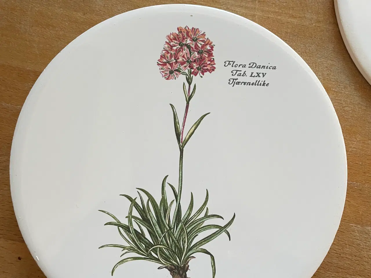 Billede 6 - Flora Danica smørbrikker