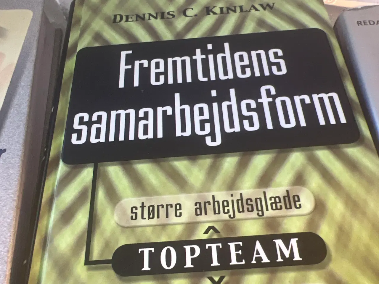 Billede 2 - 3 stk bøger om leder