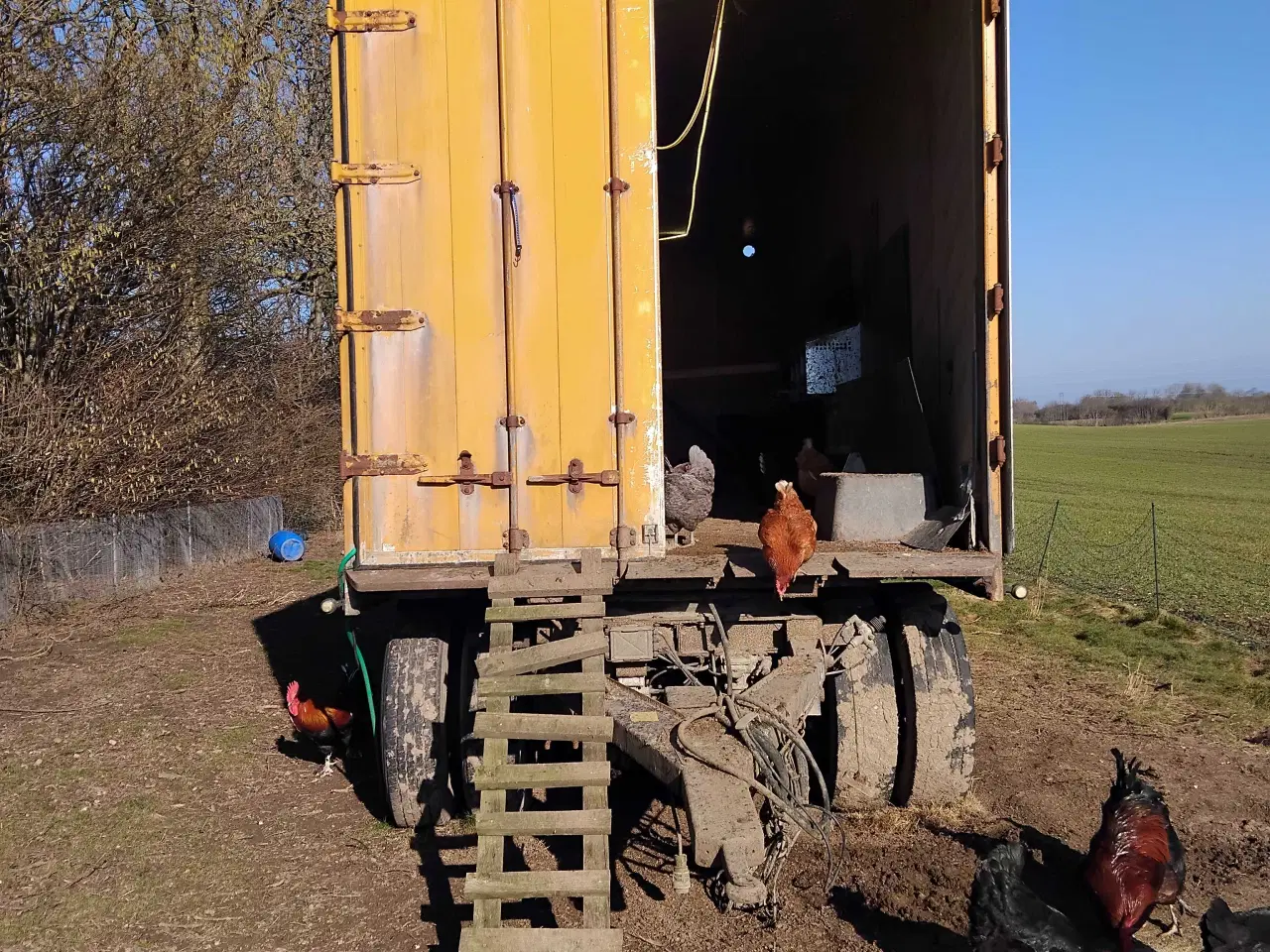 Billede 1 - Mobilt hønsehus