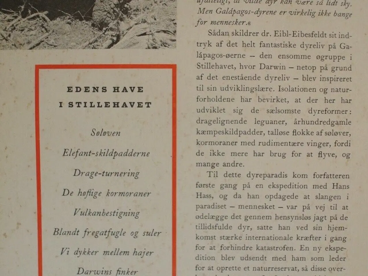 Billede 3 - galapagos - noahs ark i stillehavet, af i. eibl-ei