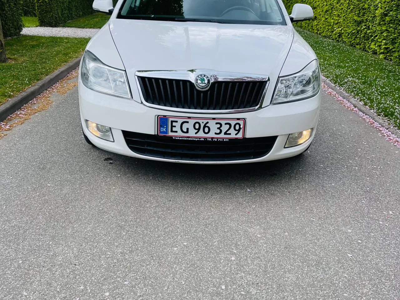 Billede 5 - Nysynet Skoda Octavia 1.6 tdi