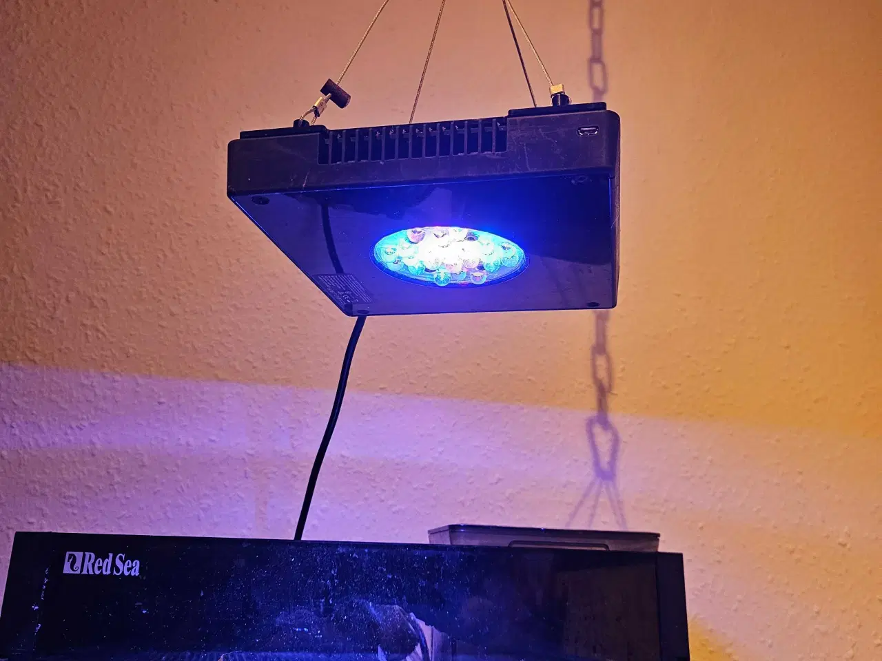 Billede 5 - Red Sea AIO 75 liter saltvandsakvarie