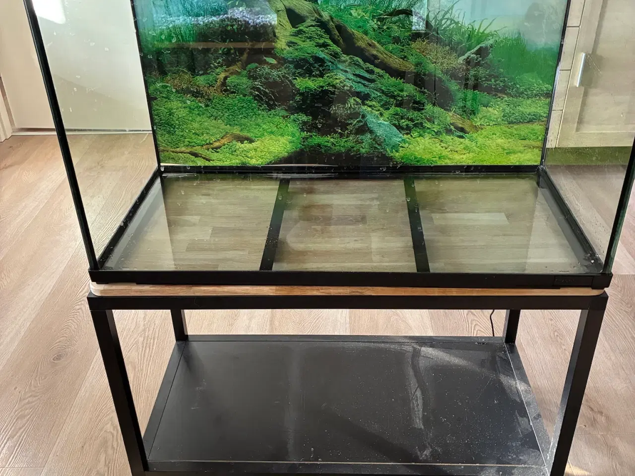 Billede 1 - Akvarie 146L med bord og plade