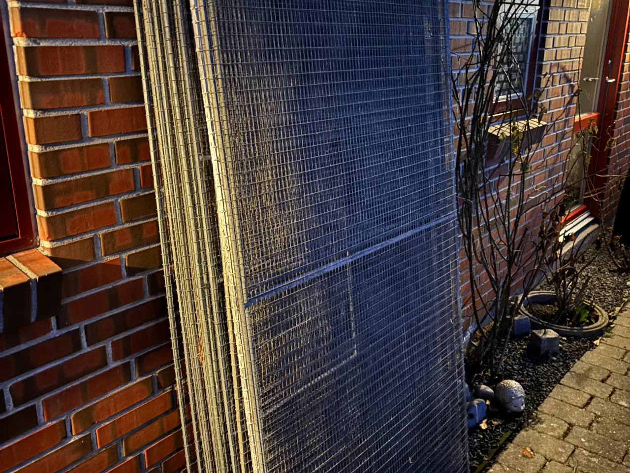 Billede 1 - Randers Volirer