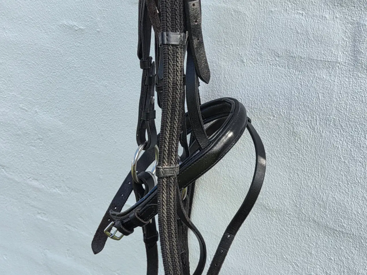 Billede 3 - Pæn trense til shetlænder 