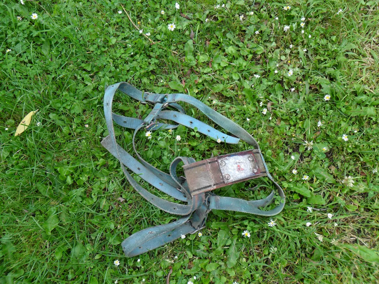Billede 2 - Fåregrej
