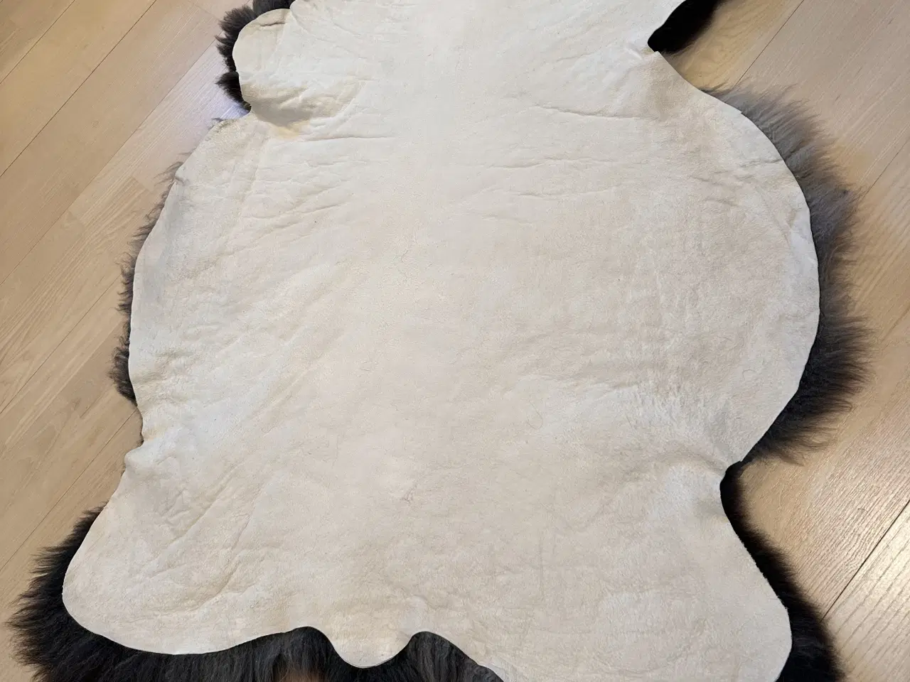 Billede 5 - Helt nyt lammeskind 